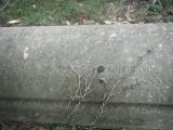image of grave number 431908